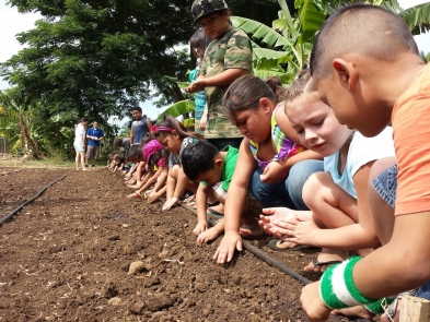 WAI'ANAE SUSTAINABLE COMMUNITIES PLAN
